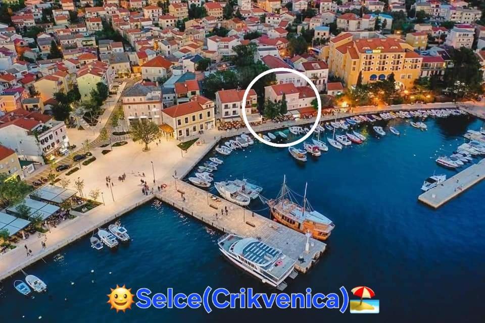 Apartmani Centar セルツェ エクステリア 写真